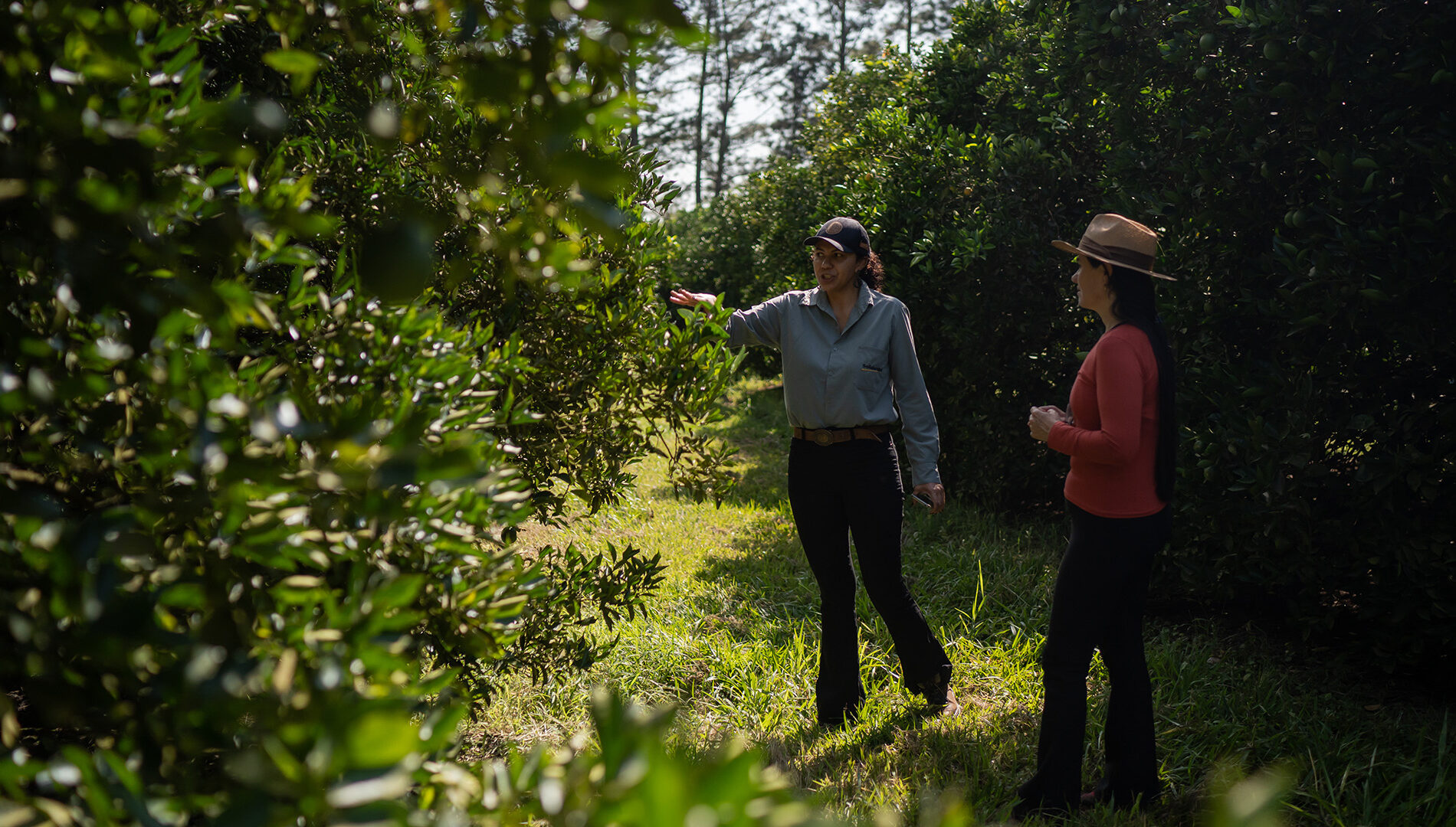 two women looking at orange trees