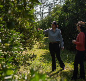 two women looking at orange trees