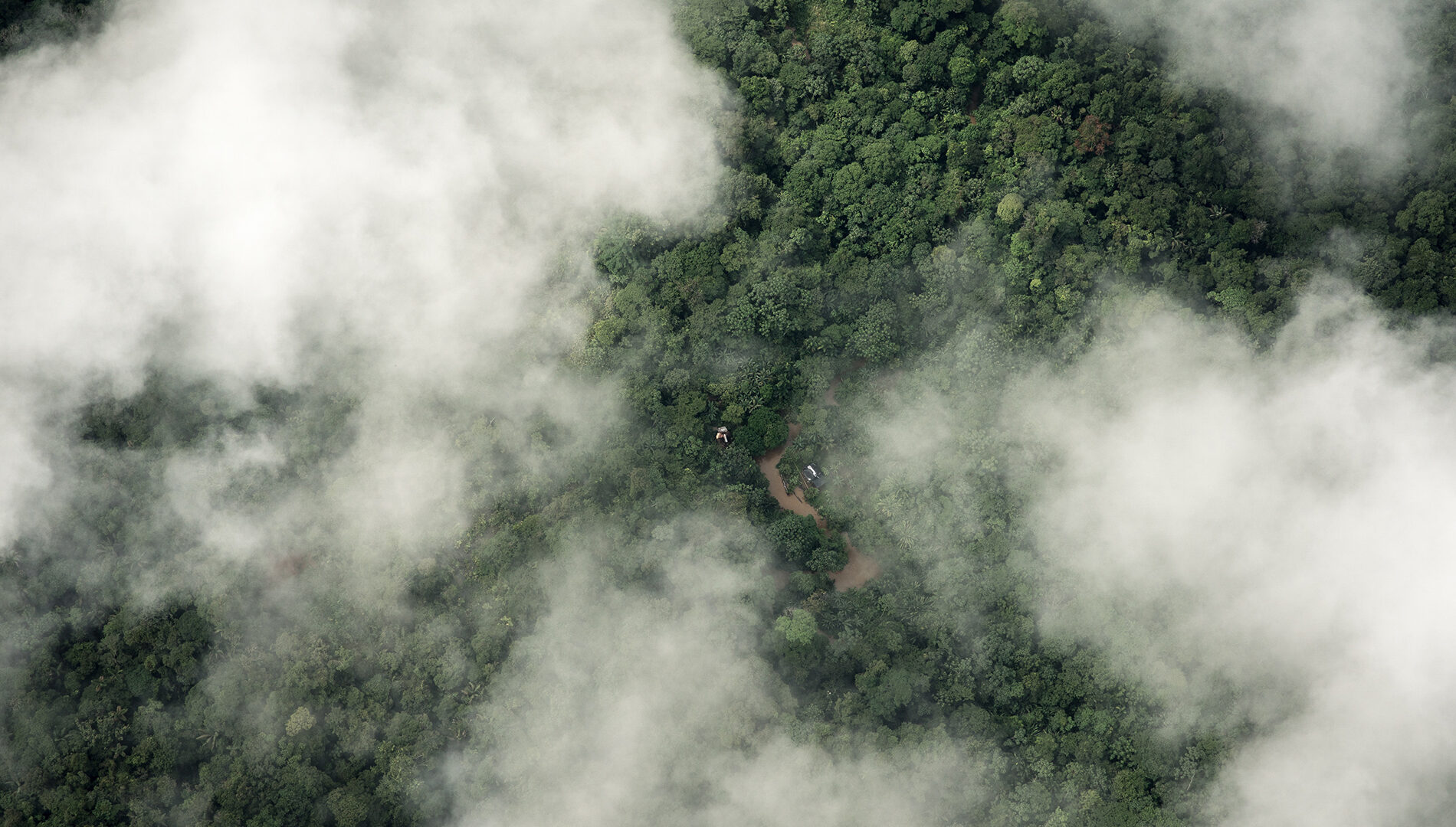 Una vista aérea de una selva tropical cubierta parcialmente por nubes