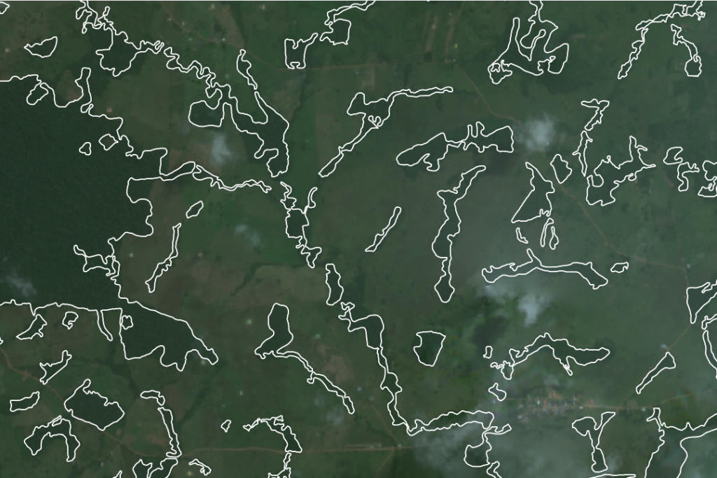Imagen de satélite con contornos blancos alrededor de la selva tropical.
