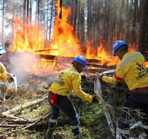 Bombeiros apagando fogo