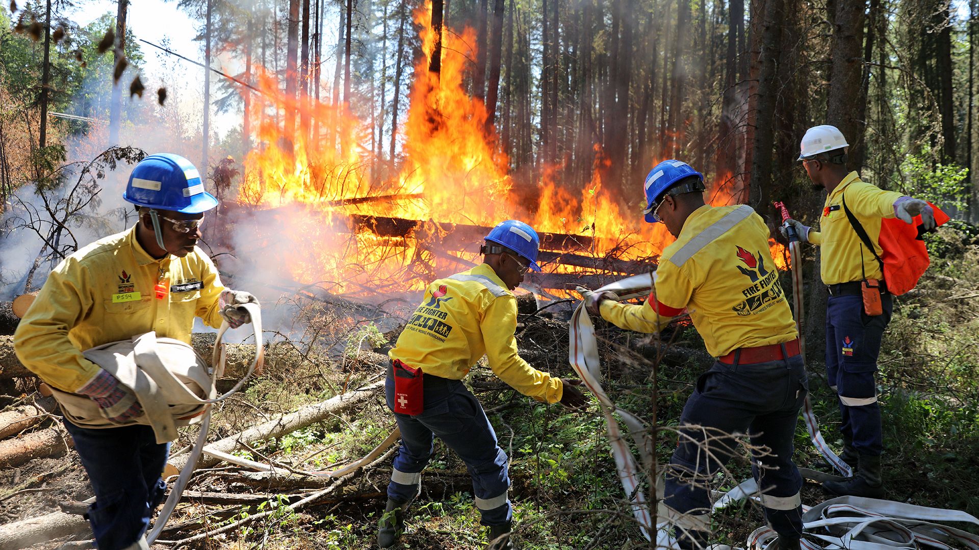 Incendios Forestales