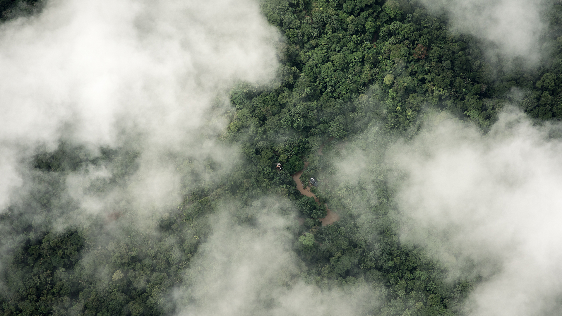 An aerial view of a rainforest covered partially in clouds