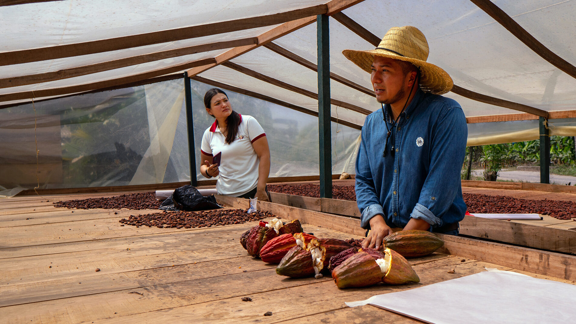 A man and a woman stand behind a wooden bench with cocoa beans and pods