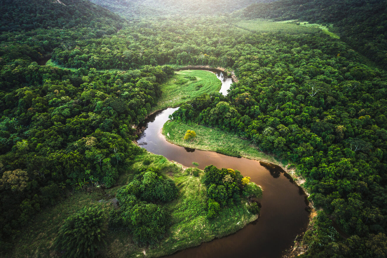 Floresta Amazônica