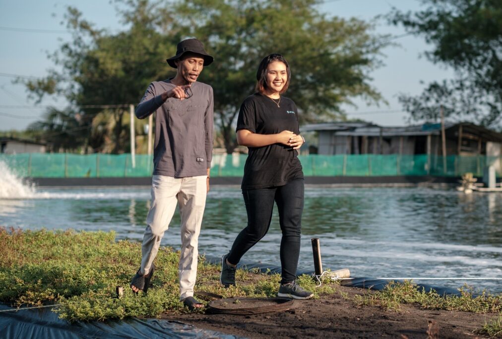 O criador de camarão Andriyono examina seu lago com Elsa Vinietta, que trabalha para a startup de aquatech eFishery. Foto de Fauzy Chaniago para a Microsoft.