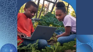 Dos estudiantes sentados juntos en un jardín trabajan en un proyecto en su laptop